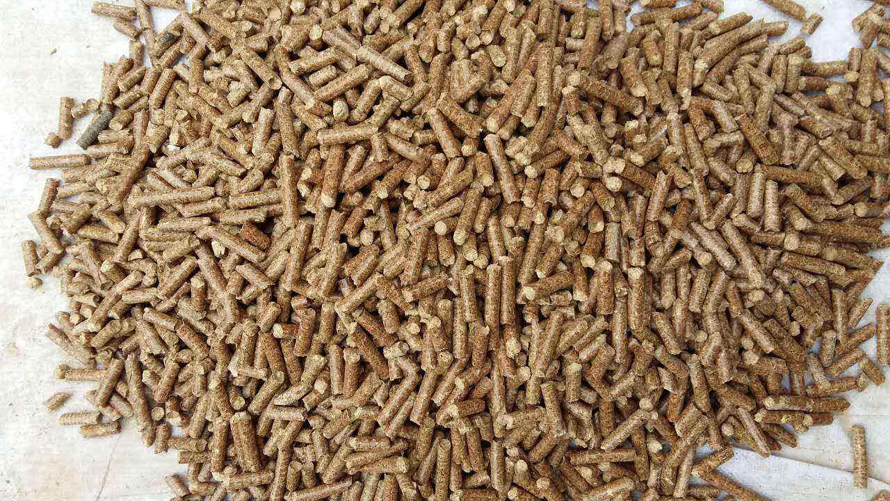 生物質(zhì)導(dǎo)熱油爐的原理跟應(yīng)用你知道多少？